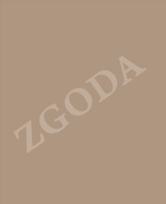 Фасад МДФ у плівці ПВХ ZGODA П06 Капучино глянець