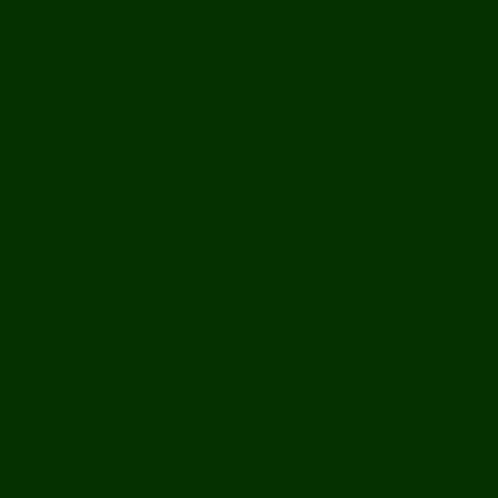 Акриловый камень Staron SF061 Forest