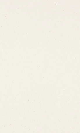 Искусственный камень Caesarstone ICON 4001 Fresh Concrete