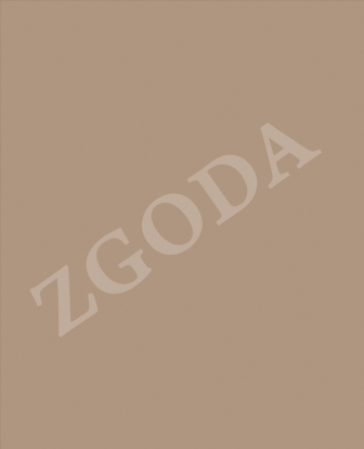 Фасад МДФ у плівці ПВХ ZGODA П06 Капучино глянець