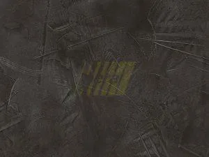 3116 Венеція 05 - Spatt