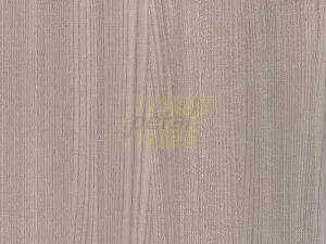 6606 SG - Olmo Tarifa