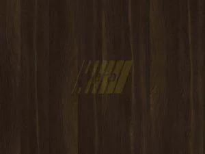 6779 DV - Rovere Moresco