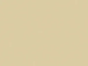 МДФ панель Carbon HPL - 8104/1039 - Beige