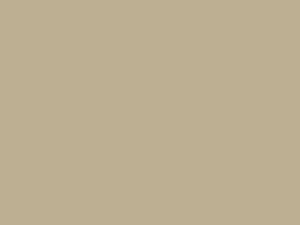 МДФ панель Carbon HPL - 8106/1078 - Sand