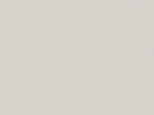 МДФ панель Carbon HPL - 8110/1012 - Gray Beige